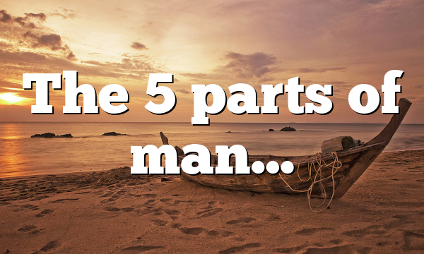 The 5 parts of man…