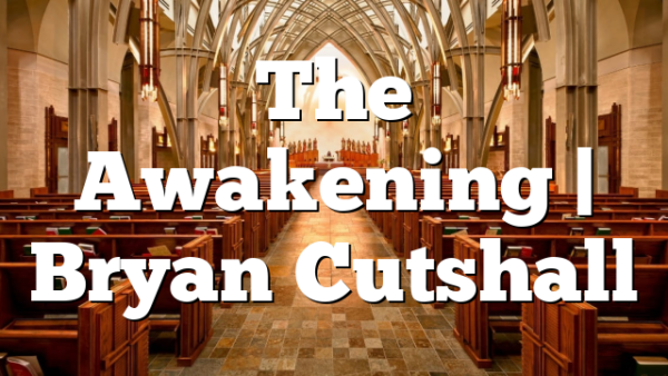 The Awakening | Bryan Cutshall
