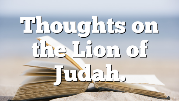 Thoughts on the Lion of Judah.