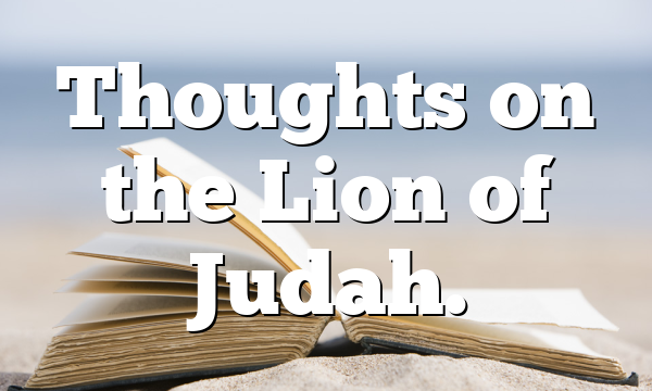 Thoughts on the Lion of Judah.