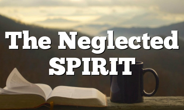 The Neglected SPIRIT