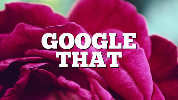 GOOGLE THAT