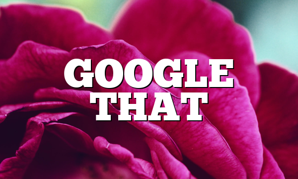 GOOGLE THAT